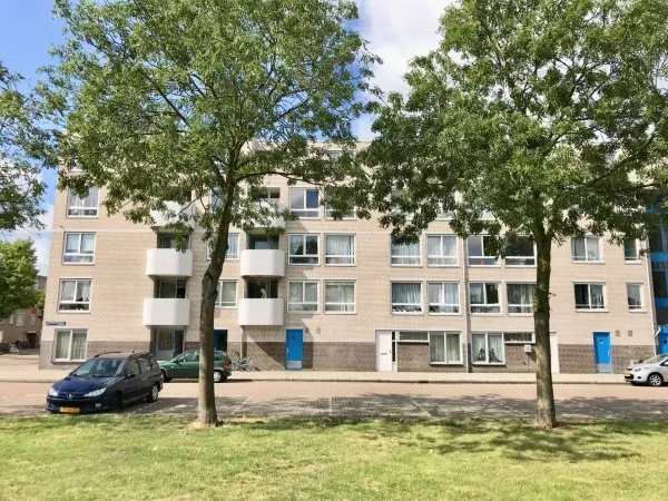 Bernard Shawsingel - Amsterdam