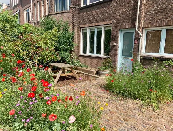 Juliana van Stolberglaan - Rotterdam