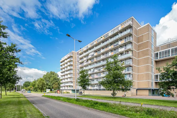 Lupinesingel - Alphen aan den Rijn