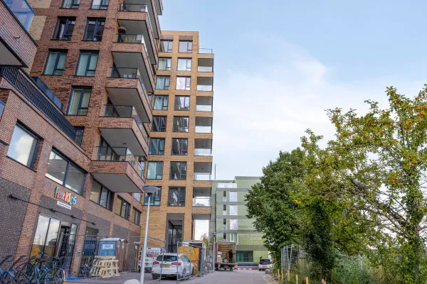 Mahoniehout - Zaandam