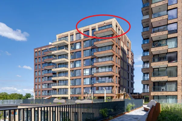 Mahoniehout - Zaandam