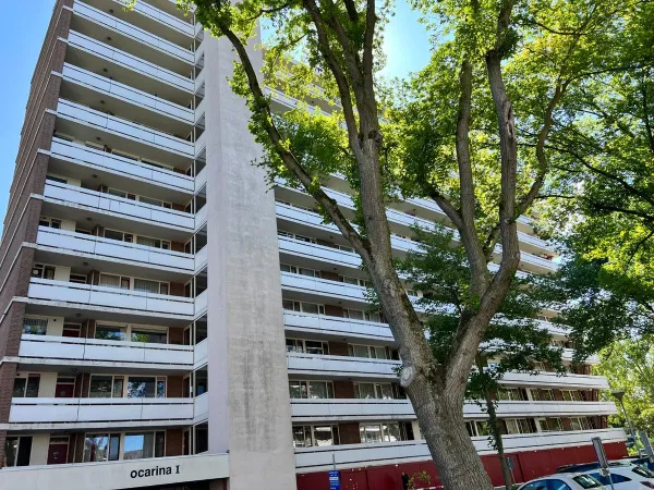 Ocarinalaan - Rijswijk