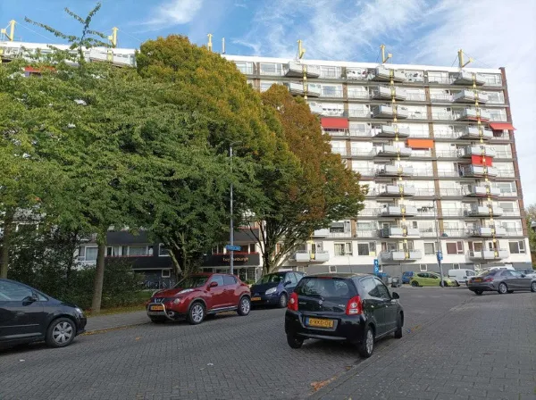 Oosterse tuin - Rotterdam