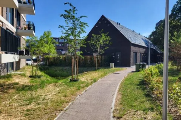 Otterstraat - Eindhoven