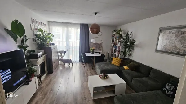 Rapenburg - Amsterdam